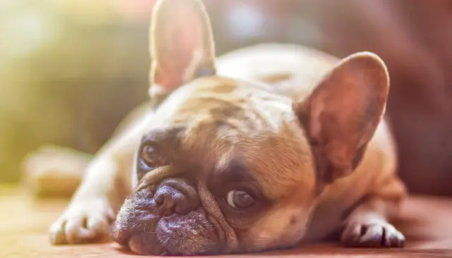 10 Free Activities You Can Do To Fight Boredom